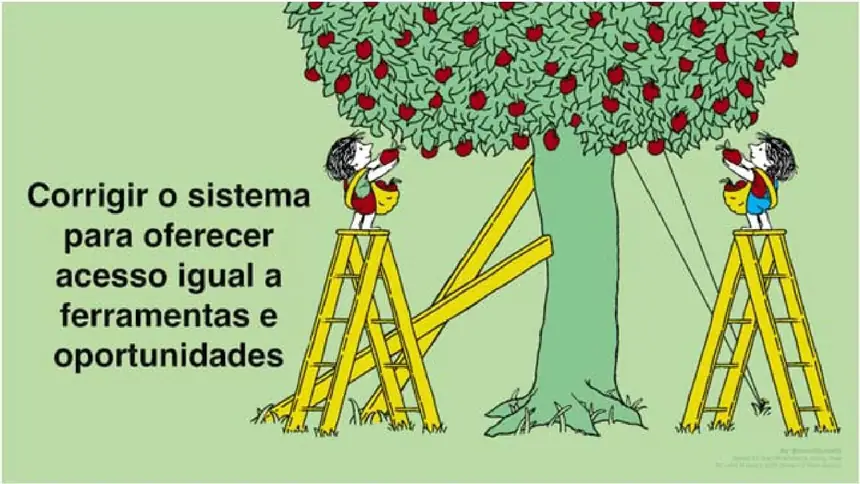Alternativa D