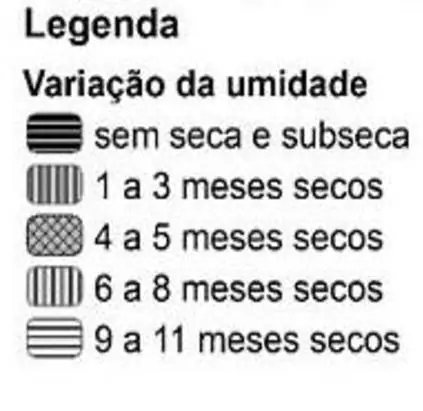 Figura da questão