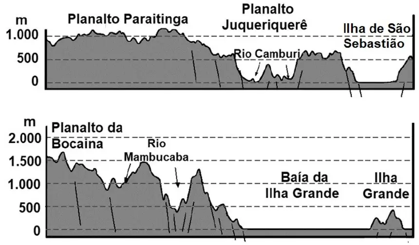 Figura da questão