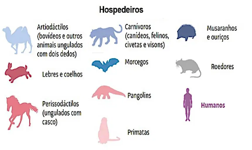 Figura da questão