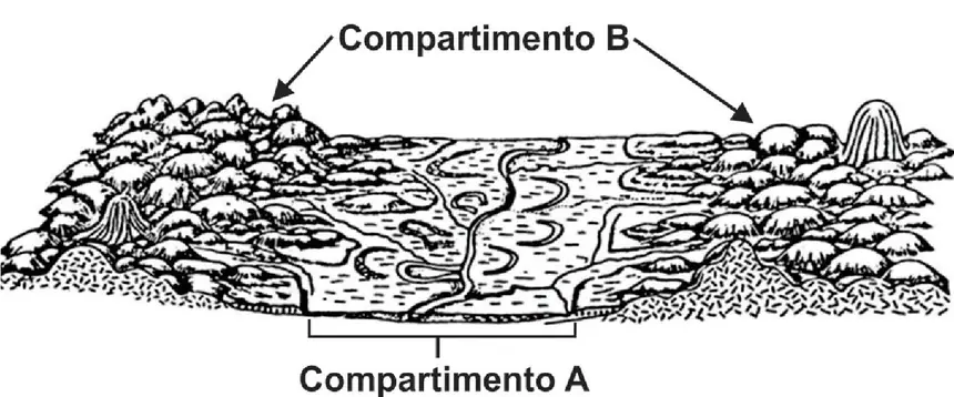 Figura da questão