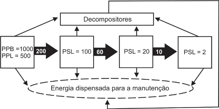 Figura da questão