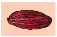 Alternativa A